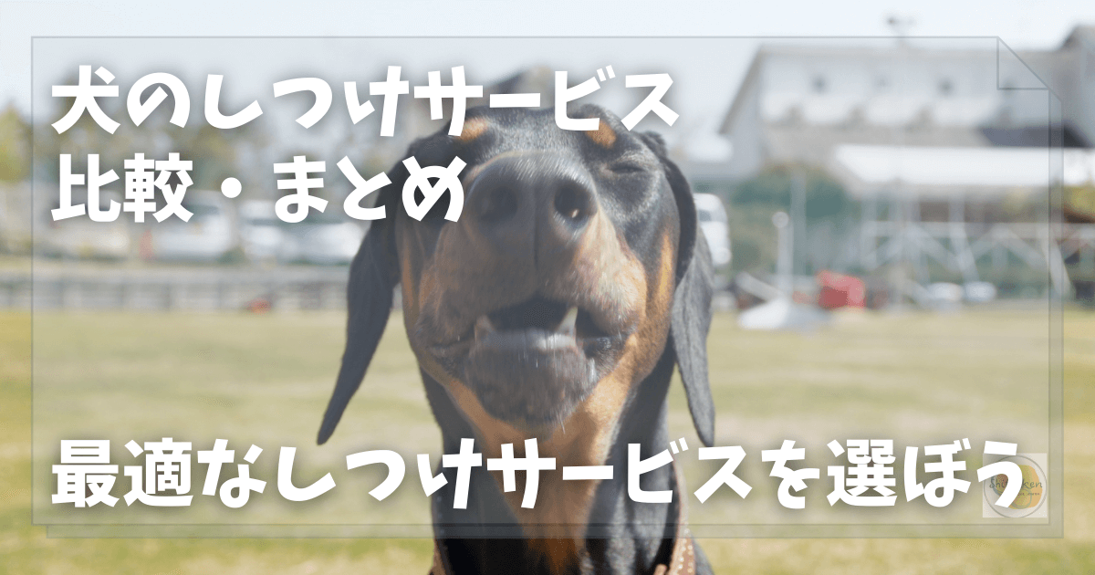 犬のしつけサービス